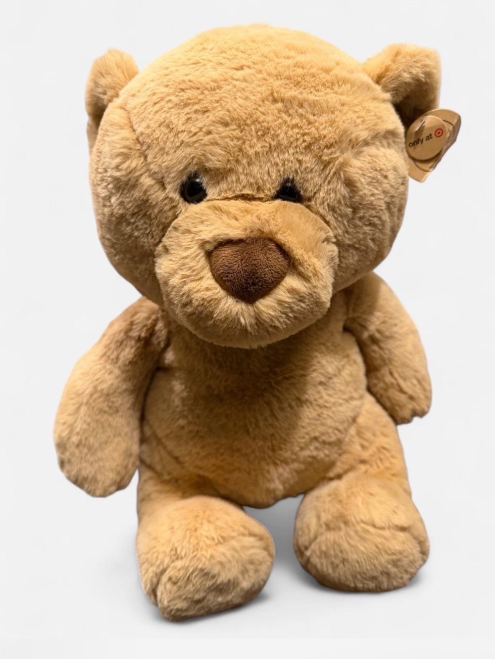 Target Plush Tan/Brown Teddy Bear Stuffed Animal